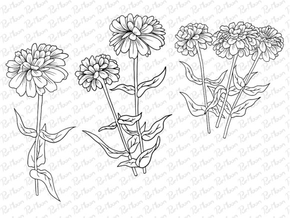 Download Line Art Flowers Arrangements - Premium Resources