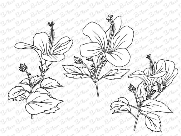Download Line Art Flowers Arrangements - Line art flowers Collection